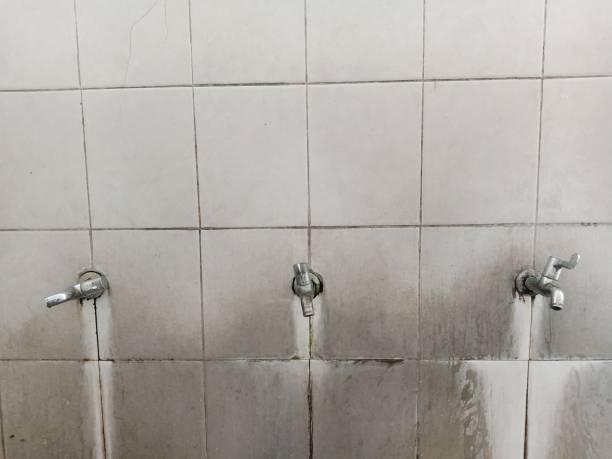Best Fire Damage Restoration  in Elim, PA