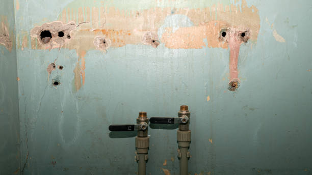 Best Water damage cleanup near me  in Elim, PA