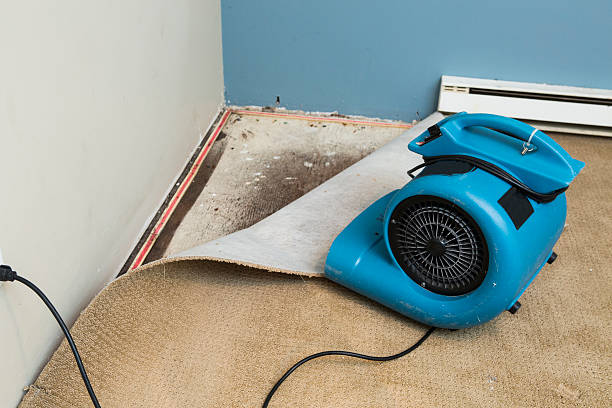 Best Water damage restoration near me  in Elim, PA
